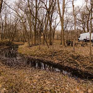 A view of our campsite from a creek, there is also a beautiful river on property that is great to play in during the summer!