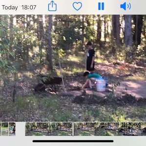 Making a den