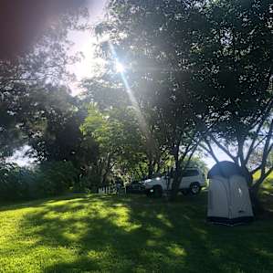 The trees provide shade for comfy cool camping in the middle of Summer