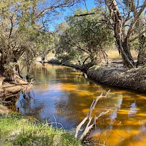 Moore River Camping: Exclusive