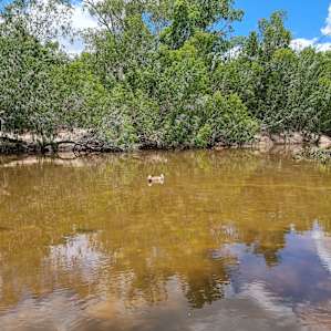 Beckford River 4WD Campsites
