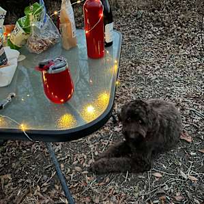 Wooded Camping & Stocked Pond