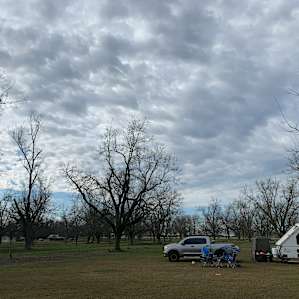 Pecan Orchard
