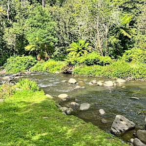 Take a trip to visit the local river and waterfalls