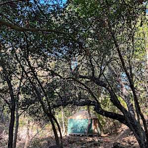 Yurt Glamping Santa Barbara Site 2