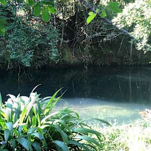 The Knoll- Waterhole