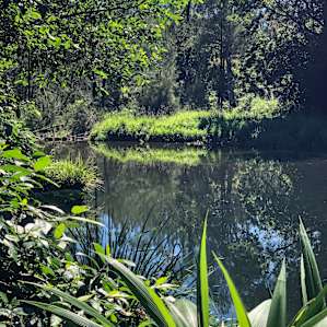 The Knoll- Waterhole