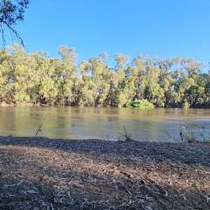 Murray River 'Pig Bend'