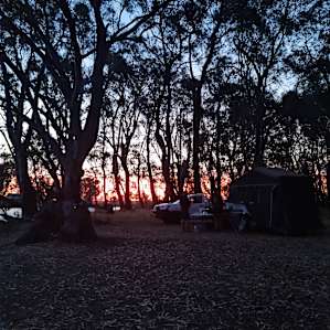 Murray River 'Pig Bend'