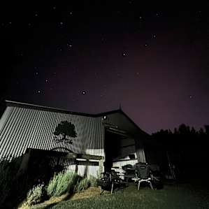Peaceful campsite close to CBD