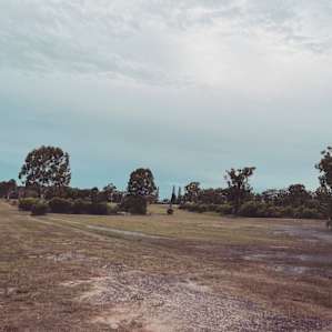 Bush Camp