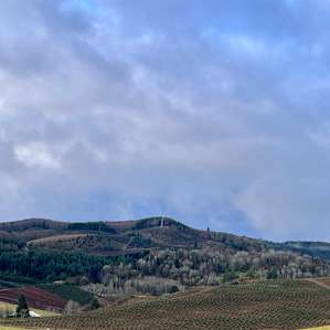 21 Acres above Riffe Lake