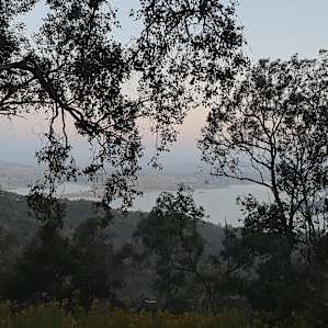 Flying fox lookout summit!