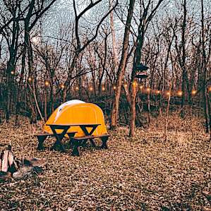 Riverside Hideaway NWA 60acres