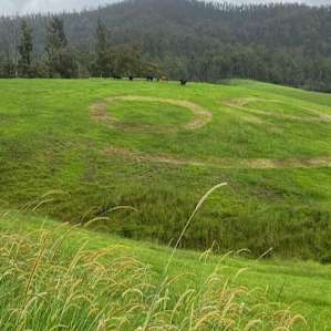 Dairy Camp - Cricket Creek