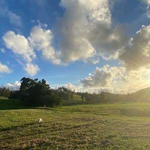 Dairy Camp - Cricket Creek
