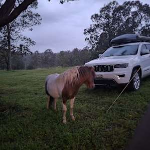 Baron Ridge Campsite