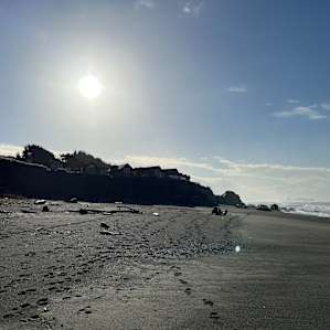 Brookings Beachfront Cabin