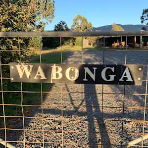WABONGA Exclusive Camping one Group