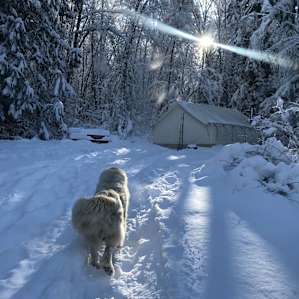 Luxury Full-Service Forest Glamping