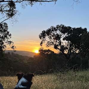 Stumpy Tail Ridge