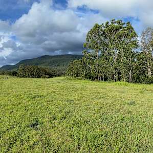 LOOKOUT CAMP (4WD ONLY)