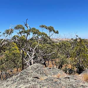 Spectacular Barossa Valley Ranges
