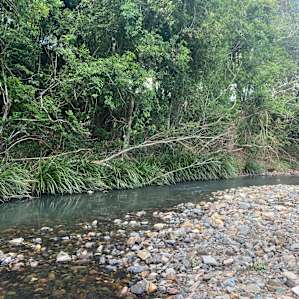 The fresh water creek
