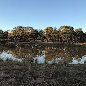 Mirrengatta, Clunes, Vic Camping 2
