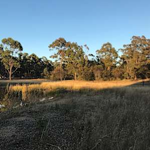 Mirrengatta, Clunes, Vic Camping 2