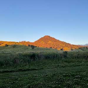 Omadale Brook Camp