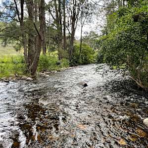 Omadale Brook Camp