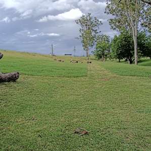 Jotoludy Group Site