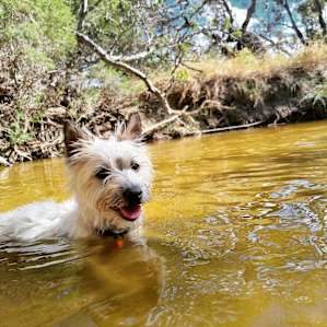 Moore River Camping: Exclusive