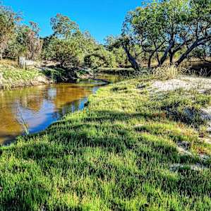Moore River Camping: Exclusive