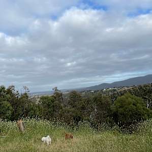 Magic Mountain