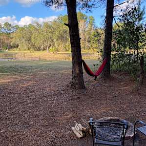 Pileated Place