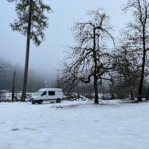 Cedar Bloom Open Camping