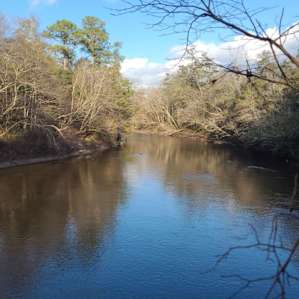 Shoal River Landing Hipcamp