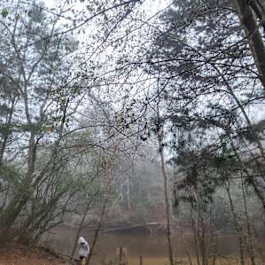 Shoal River Landing Hipcamp