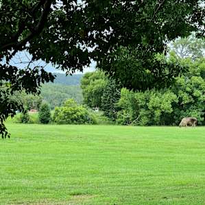 Kenilworth Rural Camping