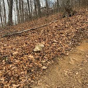 Hard to tell but it is really steep walk going up. I forgot but someone should use the level app to see what degree it is. Not to difficult to do if used to hiking but I imagine quite hard if it has been raining or is raining because of mud.