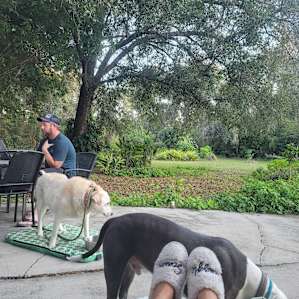 Goshen Project Farm