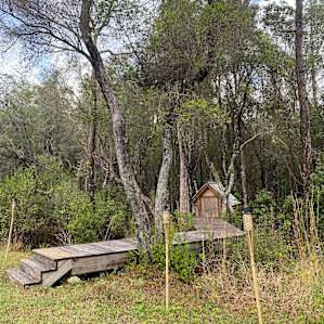 30A Forest Escape