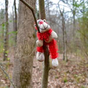 We saw this on one of our hikes!