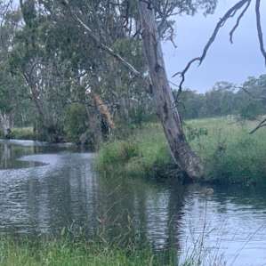 Farm Stay Water Hole Camping