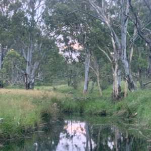 Farm Stay Water Hole Camping
