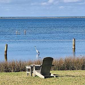 We watched this bird fish every morning