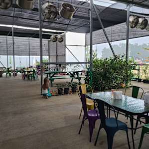 Organicaworld Farm to Table Market