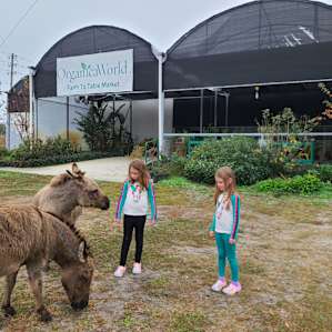 Organicaworld Farm to Table Market
